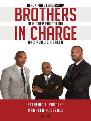 cover image of Brothers in Charge